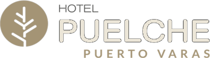 Hotel Puelche